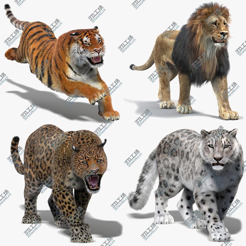 images/goods_img/202105072/3D model Big Cats Animated (Fur)/1.jpg